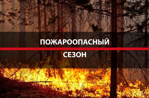 Пожароопасный сезон объявлен в Томской области с 11 апреля 2025 года